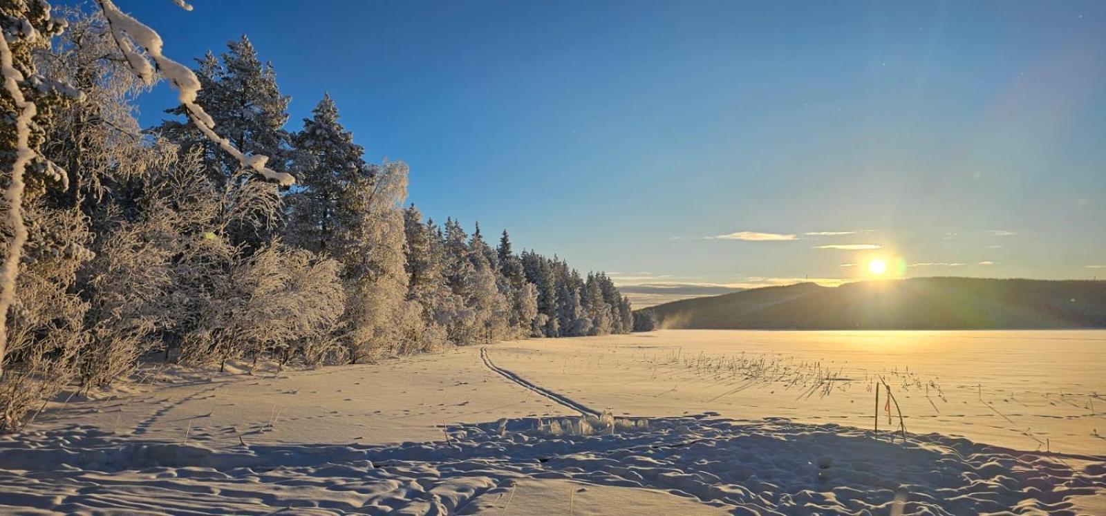 Lakeside Wilderness Chalet Jokkmokk