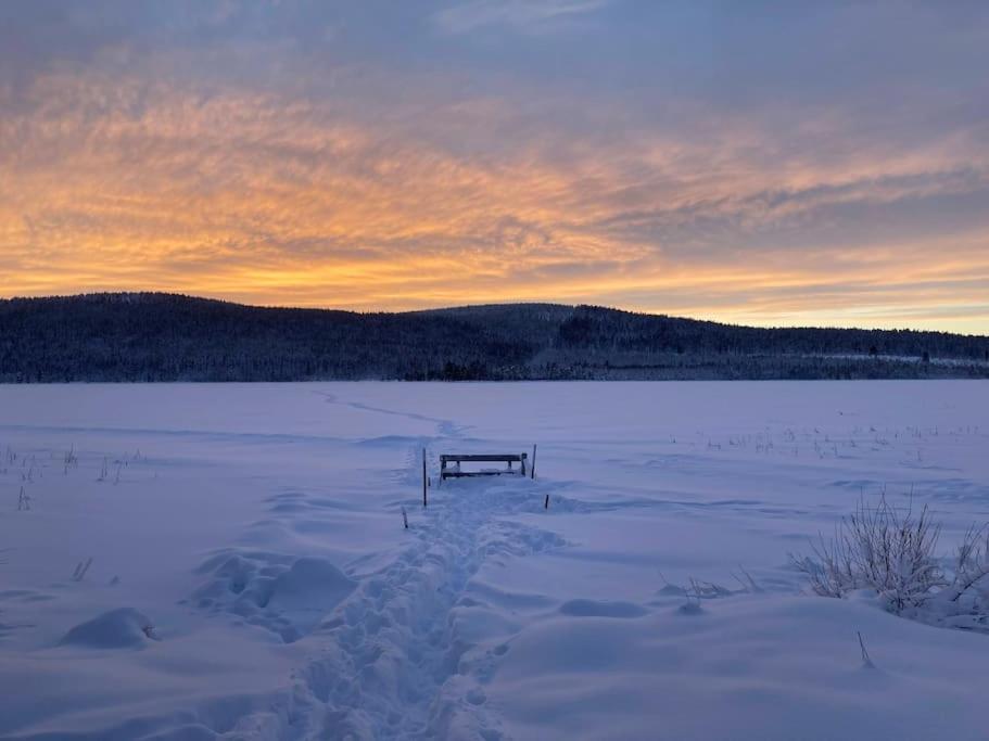 Lakeside Wilderness