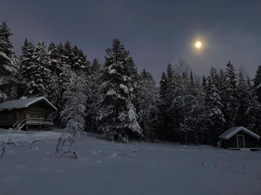 Chalet Lakeside Wilderness *