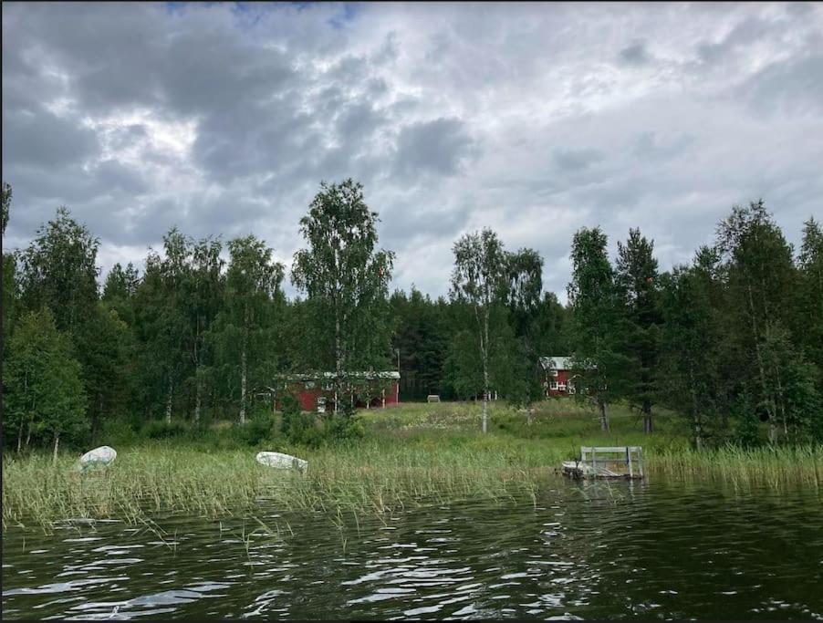 Lakeside Wilderness