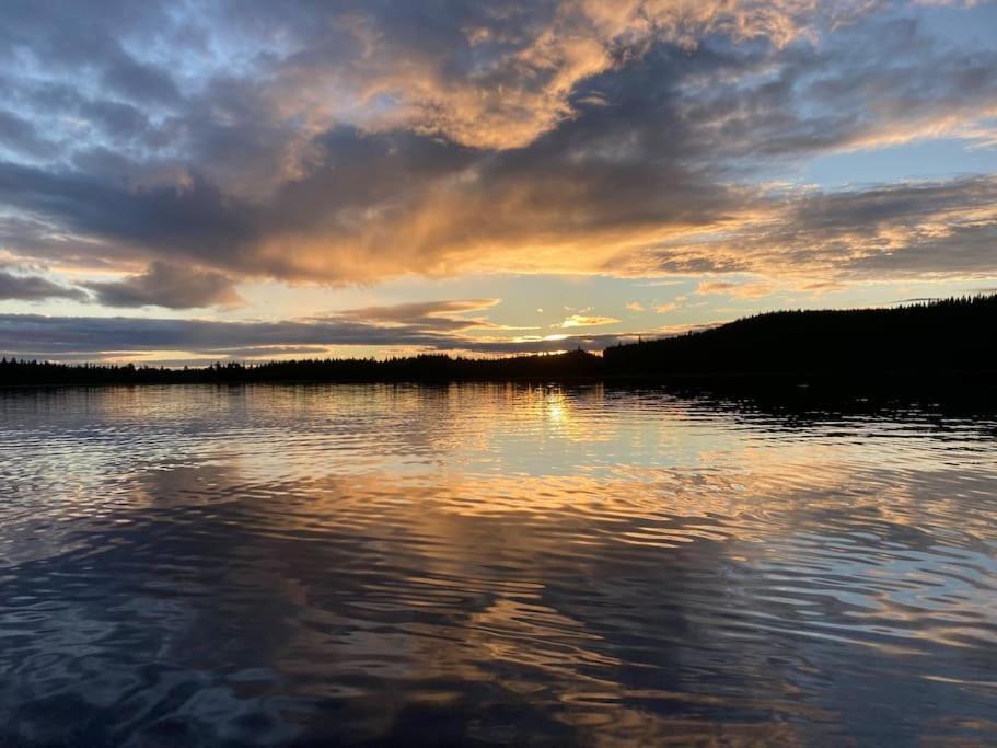 Lakeside Wilderness * Jokkmokk